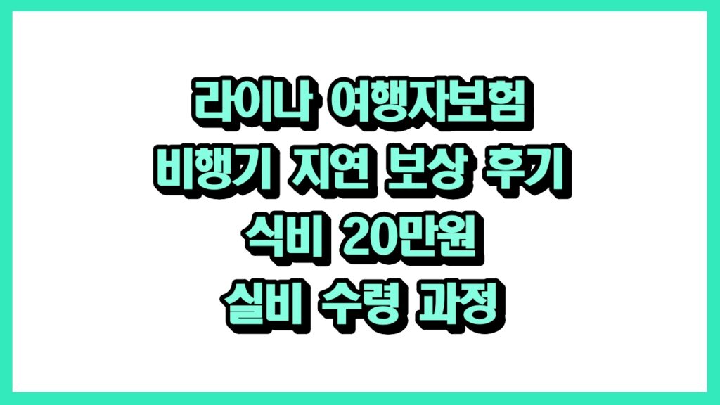 라이나 여행자보험 비행기 지연 보상 후기 식비 20만원 실비 수령 과정